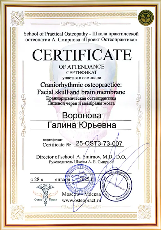 Сертификат 26