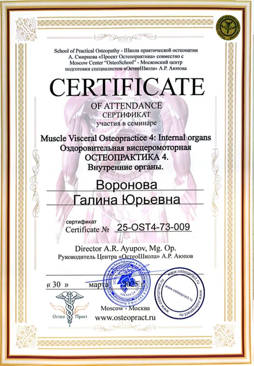 Сертификат 28